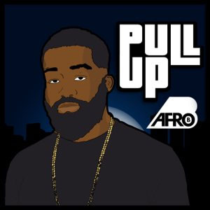 Disco Pull Up  de Afrob