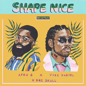 Disco Shape Nice de Afrob
