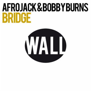 Disco Bridge de Afrojack