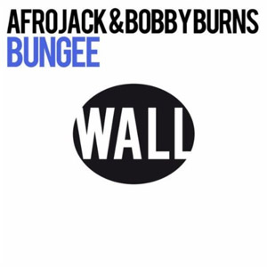 Disco Bungee de Afrojack