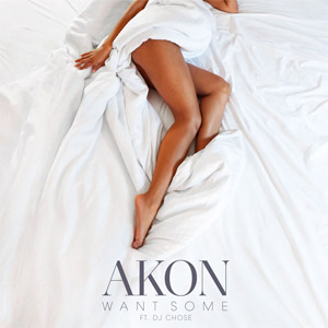 Disco Want Some de Akon