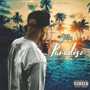 Disco Paradise de Amazin Jackson
