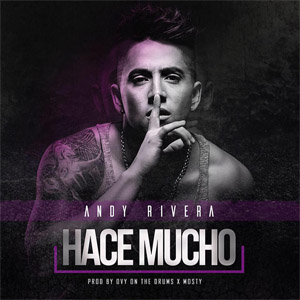 Disco Hace Mucho de Andy Rivera