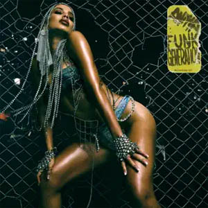 Disco Funk Generation de Anitta
