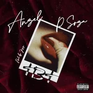 Disco Tbt de Anzel