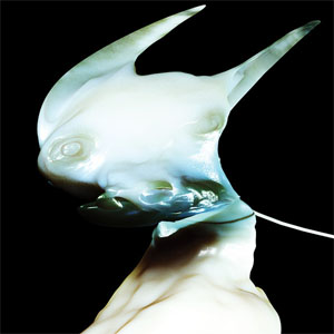 Disco Wound de Arca