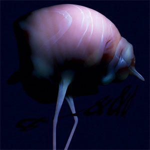 Disco &&&&& de Arca
