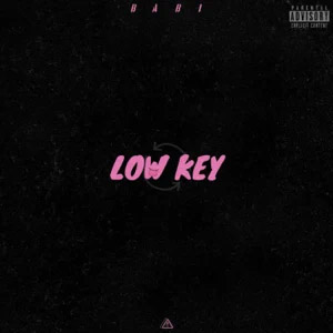Disco Low Key de Babi