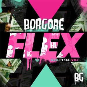 Disco Flex de Borgore