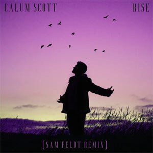 Disco Rise (Sam Feldt Remix) de Calum Scott