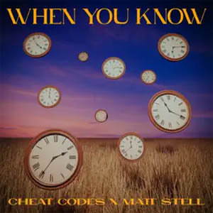 Disco When You Know de Cheat Codes