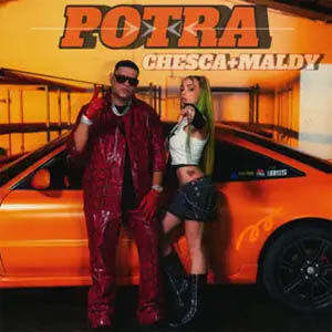 Disco Potra de Chesca