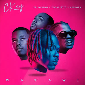 Disco Watawi de CKay