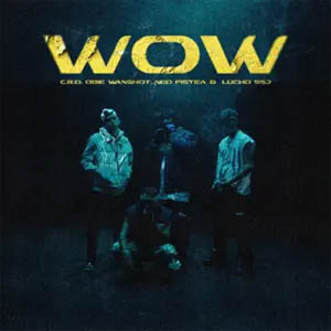 Disco WOW de C.R.O.