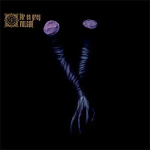 Disco Vulgar de Dir En Grey 