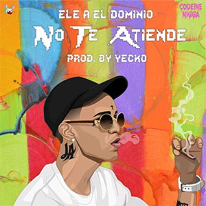 Disco No Te Atiende de Ele A El Dominio