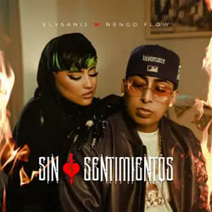 Disco Sin Sentimientos de Elysanij