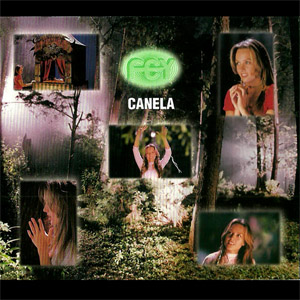Disco Canela de Fey