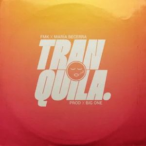 Disco Tranquila de FMK