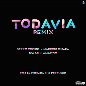 Disco Todavía (Remix) de Green Cookie