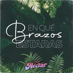 Disco En Que Brazos Estarás de Grupo Néctar
