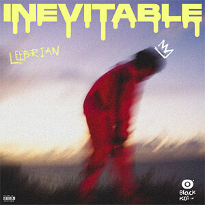 Disco Inevitable de Leebrian