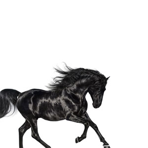 Disco Old Town Road de Lil Nas X