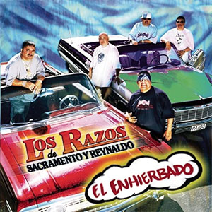 Disco En Hierbado de Los Razos