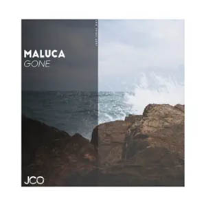 Disco Gone de Maluca