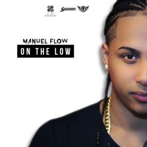 Disco On the Low de Manuel Flow