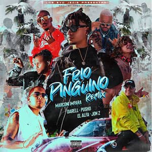 Disco Frío Pingüino (Remix) de Marconi Impara