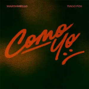Disco Como Yo :( de Marshmello