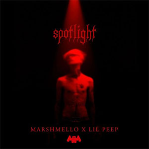 Disco Spotlight de Marshmello