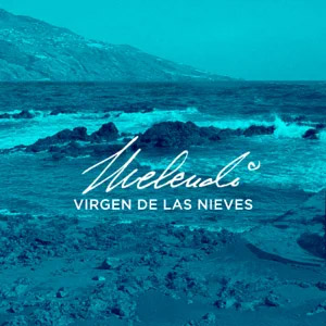 Disco Virgen de las Nieves de Melendi