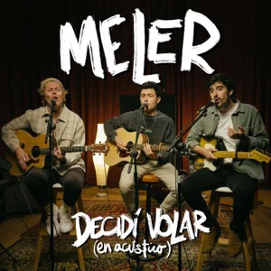 Disco Decidí Volar de Meler