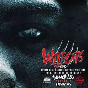 Disco Wild Cats de Method Man
