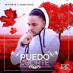Disco Puedo Decirte de N-Fasis