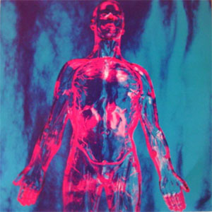 Disco Sliver de Nirvana