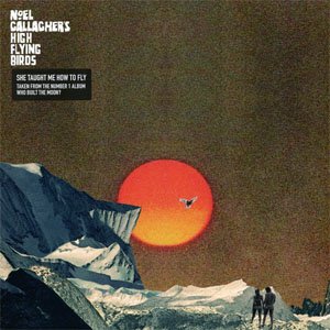 Disco She Taught Me How To Fly de Noel Gallagher