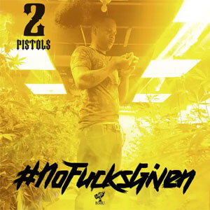 Disco No F***s Given de 2 Pistols