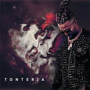 Disco Tontería de Ovi