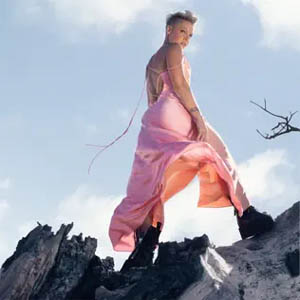 Disco Trustfall de Pink