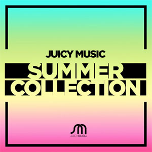 Disco Summer Collection de Robbie Rivera