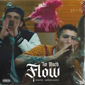 Disco Too Much Flow de Robot 95