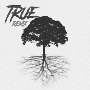 Disco True (Remix) de Rusherking