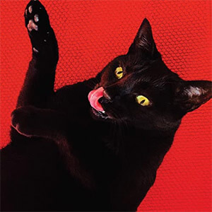 Disco Big Colors de Ryan Adams