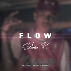 Disco Flow de Sebas R