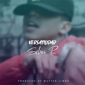 Disco Versatilidad de Sebas R