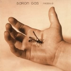 Disco Fragile de Seether