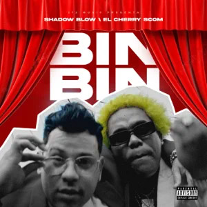 Disco Bin Bin de Shadow Blow